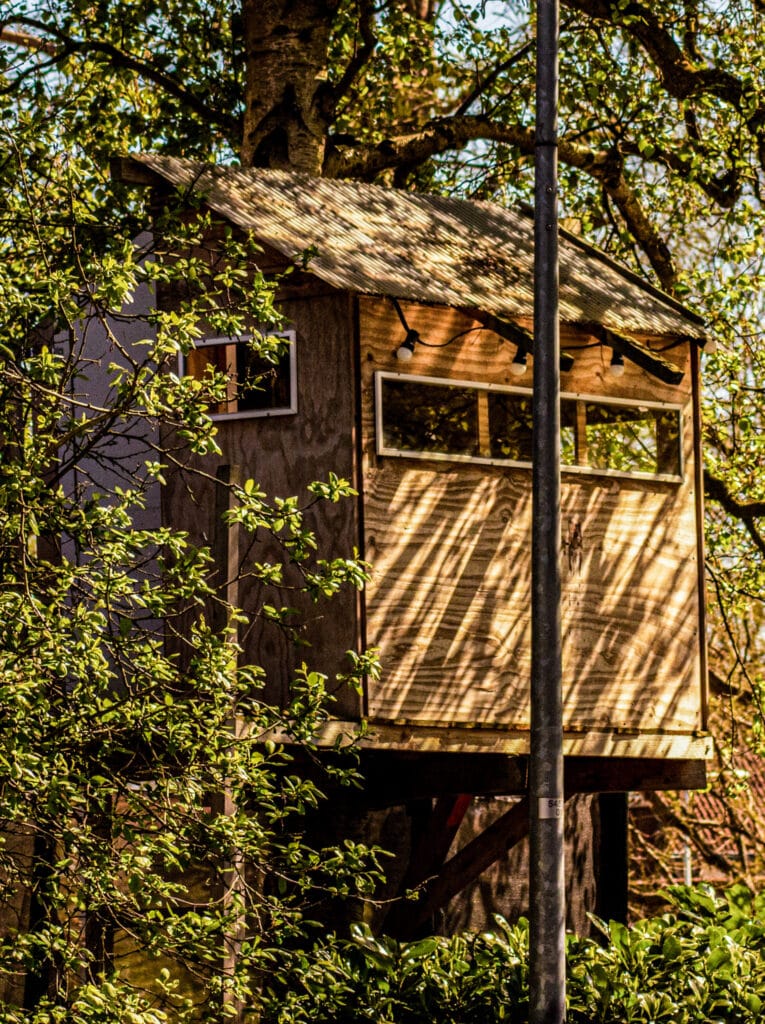 The Selection example of tree house