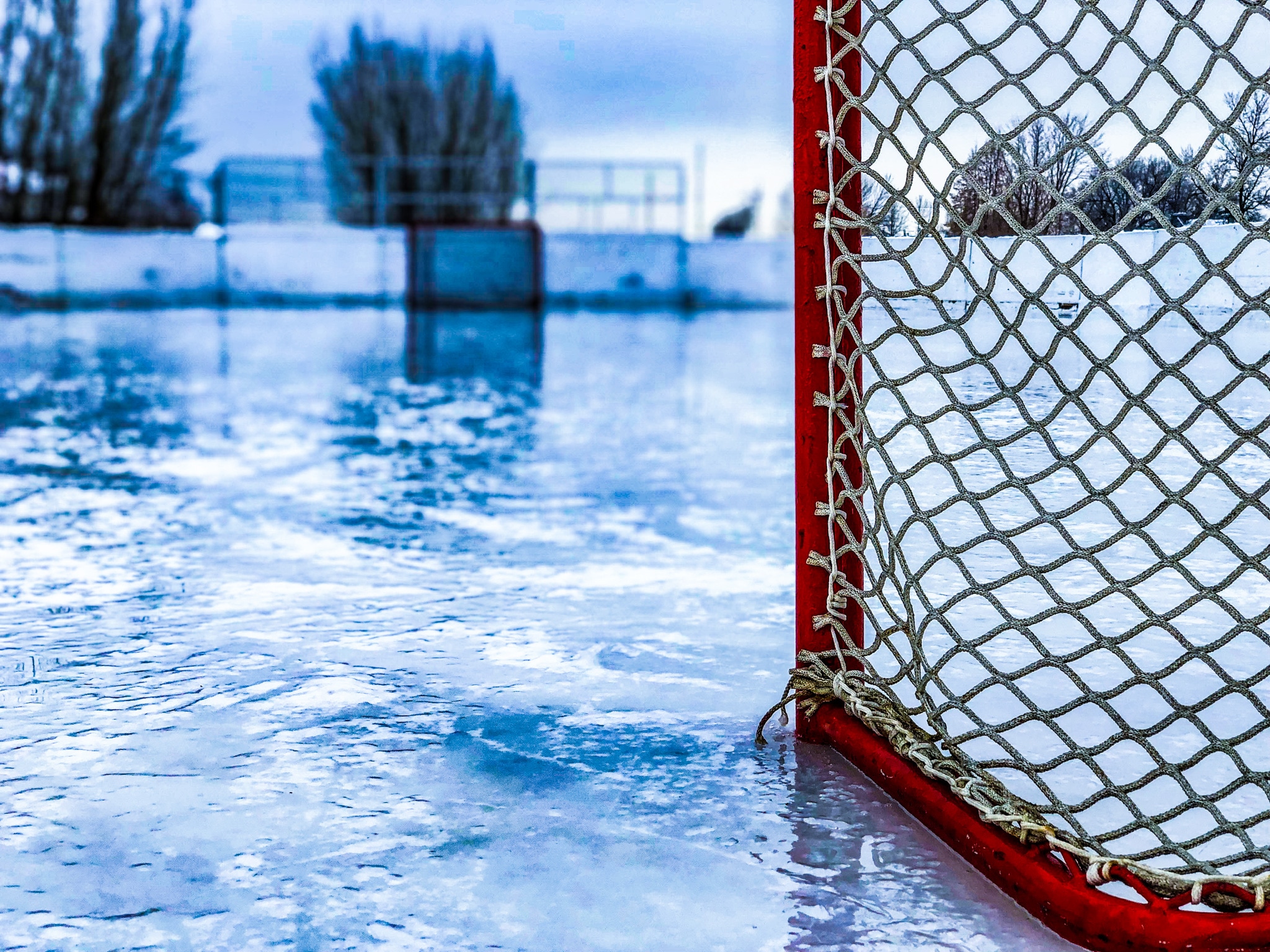 Young Adult Romance The Wrong Bachelor Ice Hockey Net Example