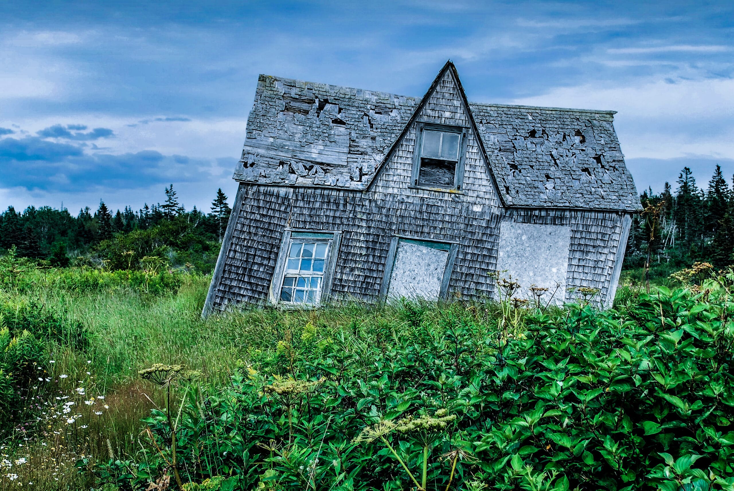 Young Adult Fantasy  Example Fairy Godmothers Cottage